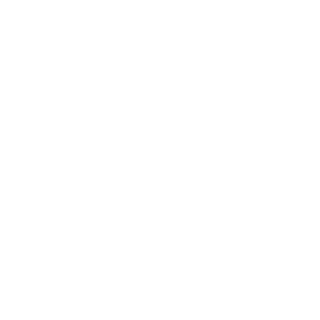SeregaFrolov's emblem