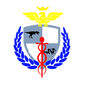 theMetalPanda's emblem