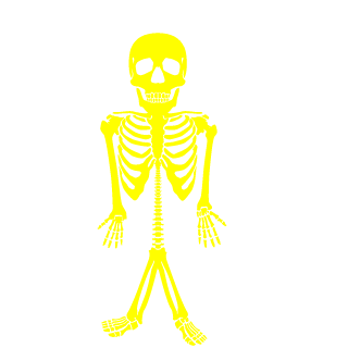 zylvinx's emblem