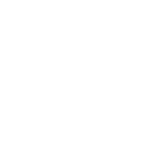 Jasu101's emblem