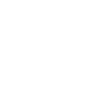 ALAMEEN-LP's emblem