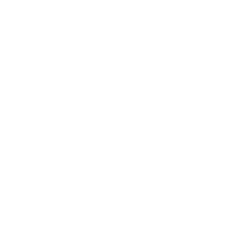 llQll's emblem