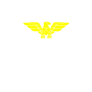 Amnesia2397's emblem