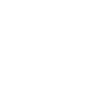 226_Vman's emblem