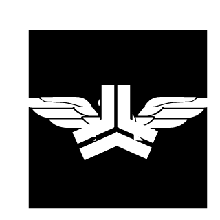 SquintFire3003's emblem