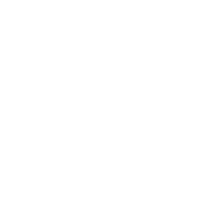 RONOX1's emblem