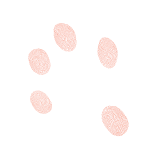 111yRaLe's emblem