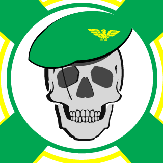 Tactical Combat Group's emblem