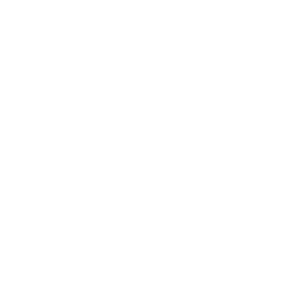 lIIIlIIlIlIll's emblem