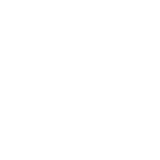 Biknik3's emblem