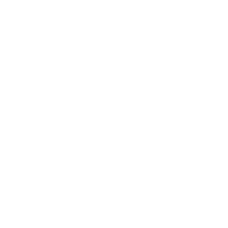 SergeantBergdahl's emblem