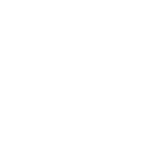 LMY936098839's emblem