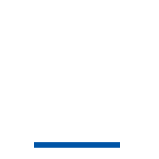 Dragon60439's emblem
