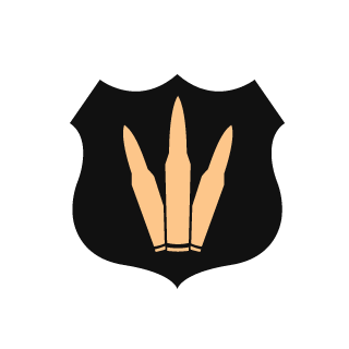 rtx8's emblem