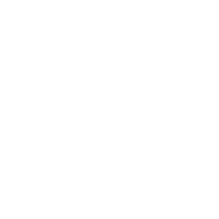 N2DiClutch's emblem