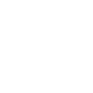 AntAfin_V2042's emblem