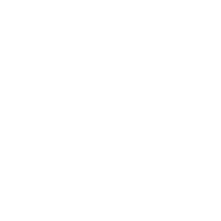 Anz_zur's emblem