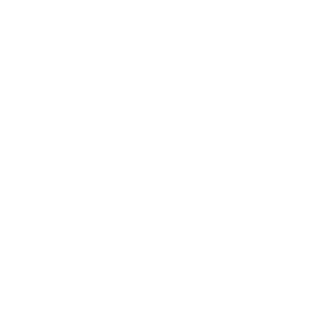 tomer073's emblem