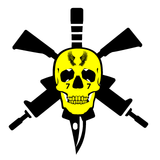 gabrielrosa14's emblem
