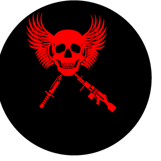 USMCx Viking's emblem