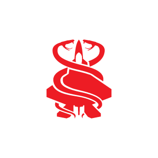 Spydiflautico007's emblem