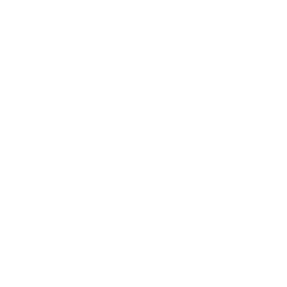 -1dp's emblem