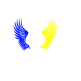 Denisl3003's emblem