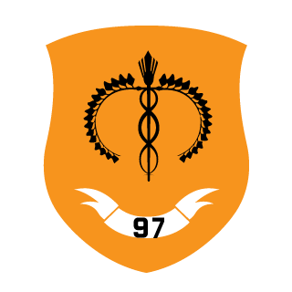 BattleMeastro's emblem