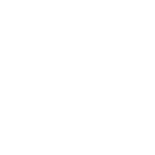 Alex17MC's emblem