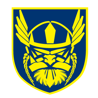Raving Vikings's emblem