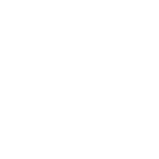 NightTonyHoliday's emblem