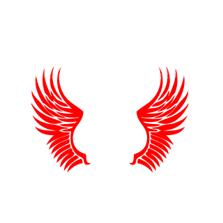 Hacknick999's emblem