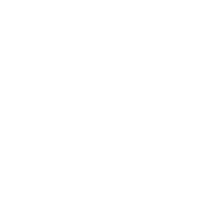 shiyuanzhi991's emblem