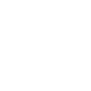 TomekS244's emblem