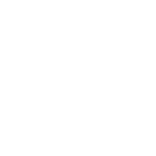 FlappyEcho's emblem