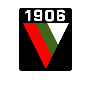 NeedSomeGlasses's emblem