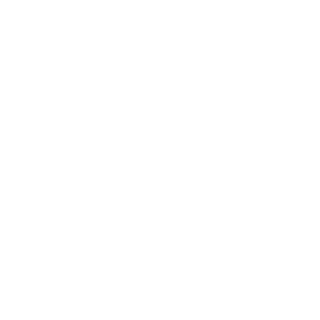 rainmans1993's emblem