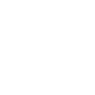 GR1FF1N_223's emblem