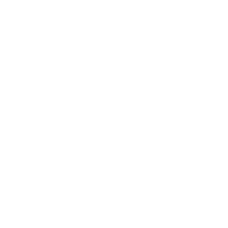 FiNikz's emblem