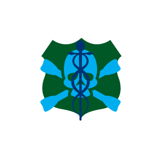 xXPowerWolfXx's emblem