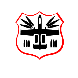 Raiu46's emblem