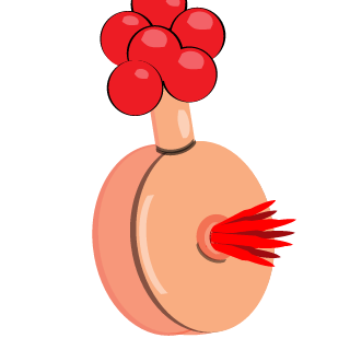 PlumbusRepairMan's emblem