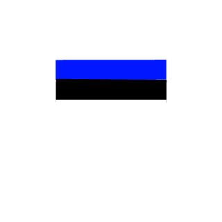 Player_Eesti's emblem