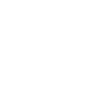 NegutaBrasil's emblem