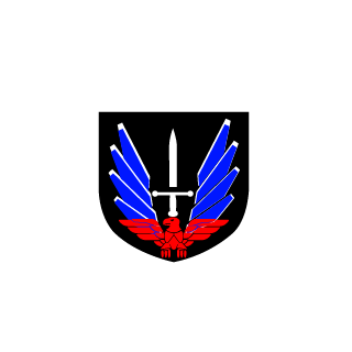 VirtualBeast1911's emblem