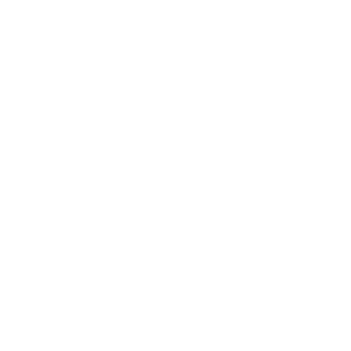 0a93e2c4fc8e2efe's emblem