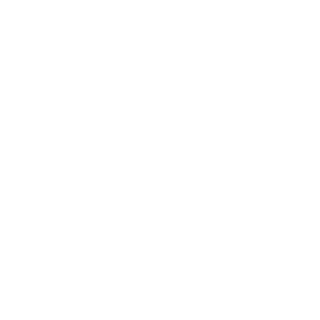 wasfi's emblem