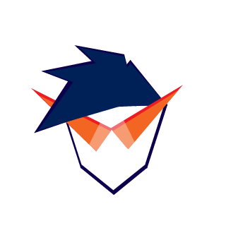 SOLOMON5022's emblem