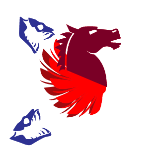 IdoZoros's emblem
