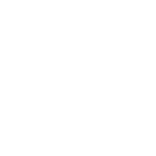 ViCiOuS_SuLLi's emblem